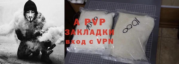 мяу мяу кристалл Богданович