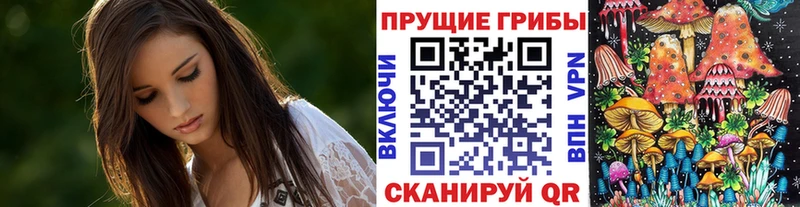 как найти   Исилькуль  Галлюциногенные грибы мицелий 